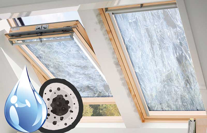 scale_1200-(1).jpg scale_1200-(1).jpg